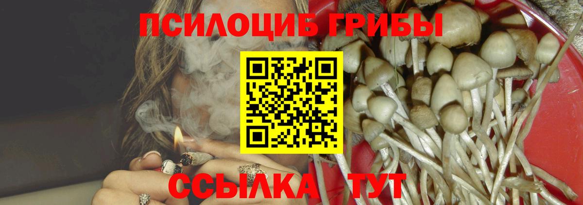Псилоцибиновые грибы Cubensis Строитель